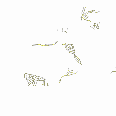 Export Image